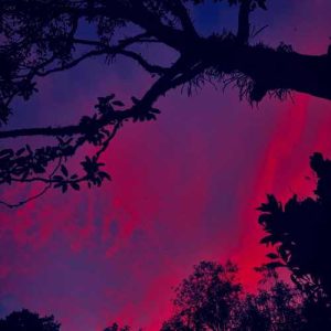 دانلود آهنگ میترسم یه روزی برسه که اونو نبینم بمیرم تنها